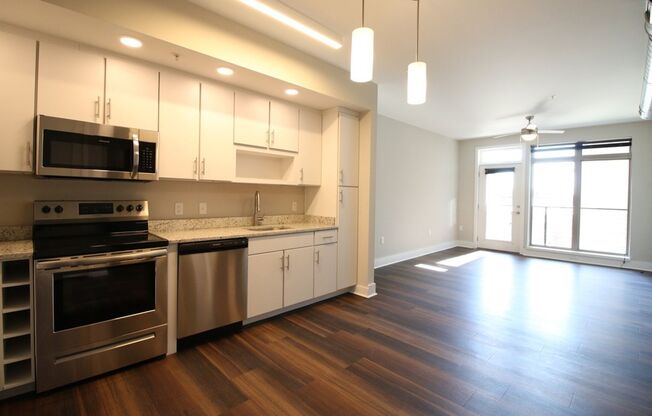 1 bed, 1 bath, 531 sqft, $1,495, Unit APT 417