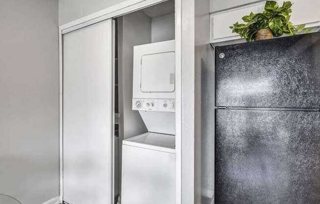 Refrigerator at Viva Max, Texas  