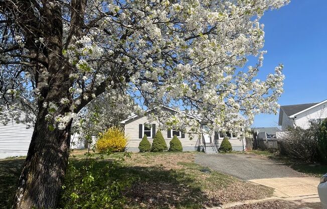 Lovely Rambler w/ 3 bedrooms