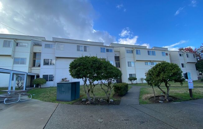 1419 Apartments