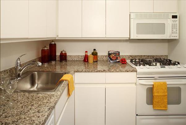 Studio, 1 bath, 322 sqft, $3,950, Unit 313