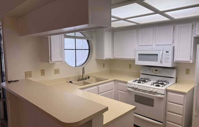 Freshly Painted * New Carpet * Ready For Movein