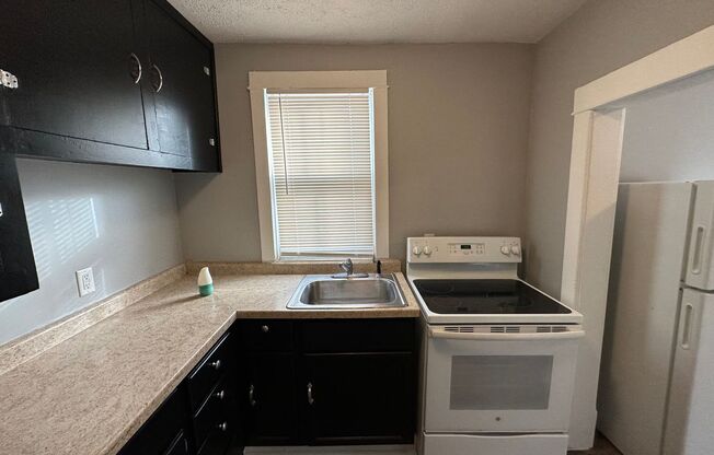 3 beds, 1 bath, 1,000 sqft, $1,250, Unit 2