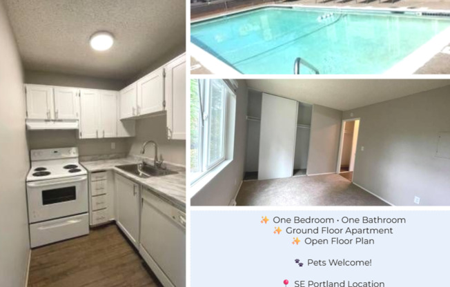 1 bed, 1 bath, 525 sqft, $1,200, Unit 60