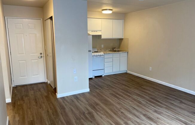1 bed, 1 bath, 460 sqft, $1,395, Unit 212