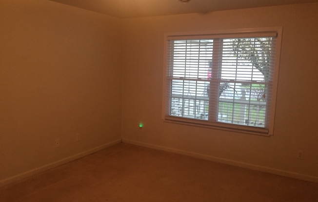 2 beds, 2 baths, $1,900