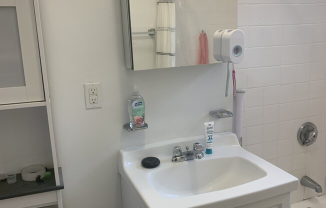 1 bed, 1 bath, $3,000, Unit 301