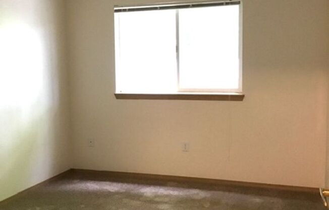 1 bed, 1 bath, 547 sqft, $1,250, Unit 31