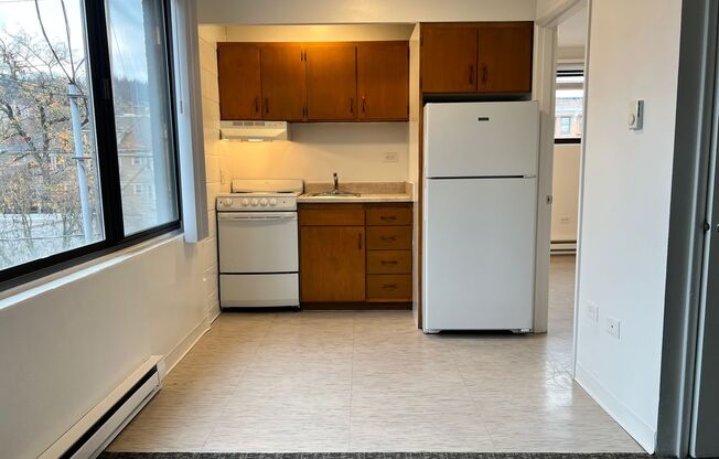 1 bed, 1 bath, 425 sqft, $1,225, Unit 501