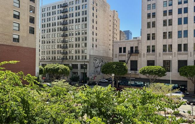 1 bed, 1 bath, 810 sqft, $2,500, Unit 301