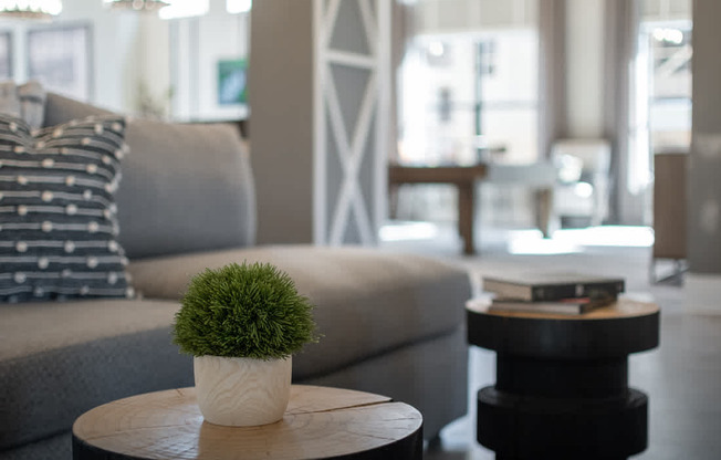 a living room with a couch and a table with a plant