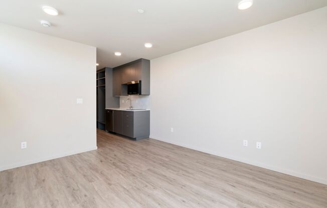 Studio, 1 bath, 298 sqft, $1,450, Unit 605