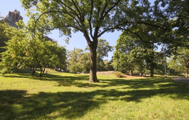 4 beds, 3 baths, 1,800 sqft, $11,000, Unit 5A