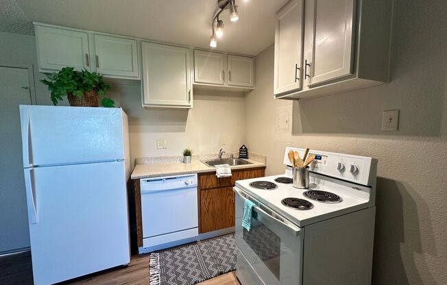 Boutique Apartments in Boulevard Park, Includes Gated, Covered Parking!