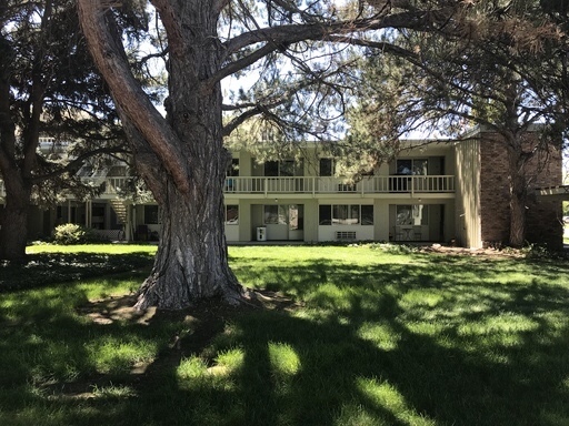 2 beds, 1 bath, 950 sqft, $1,125, Unit Unit 7