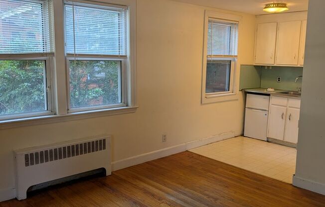 Studio, 1 bath, 300 sqft, $1,900