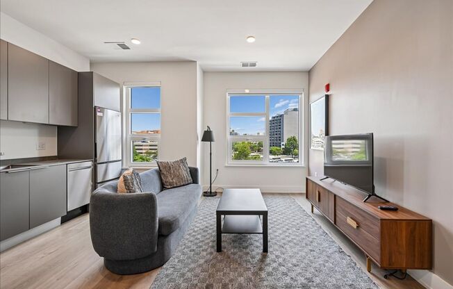 1 bed, 1 bath, 569 sqft, $1,799, Unit 207
