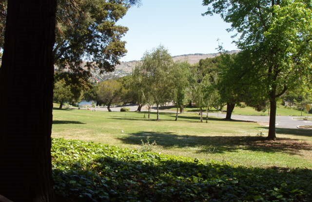 Vallejo Studio available for rent in excellent location over looking Dan Foley Park