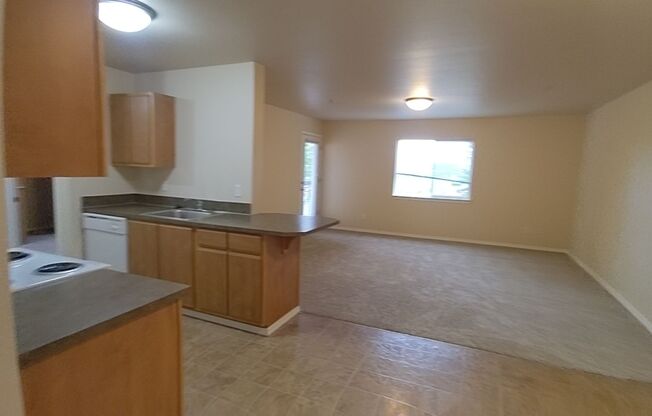 3 beds, 2 baths, 1,180 sqft, $1,795, Unit D304