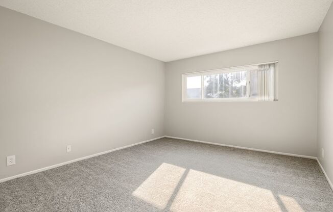 A room with a window and a carpet on the floor.