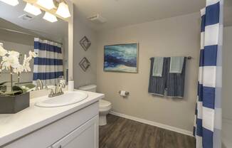 Custom Look Bathroom at Bella Vista Apartments