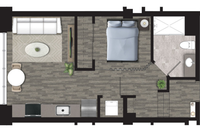 Studio, 1 bath, 605 sqft, $1,230, Unit 202