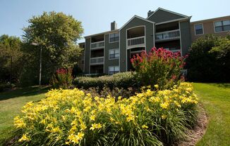 Crossings at White Marsh