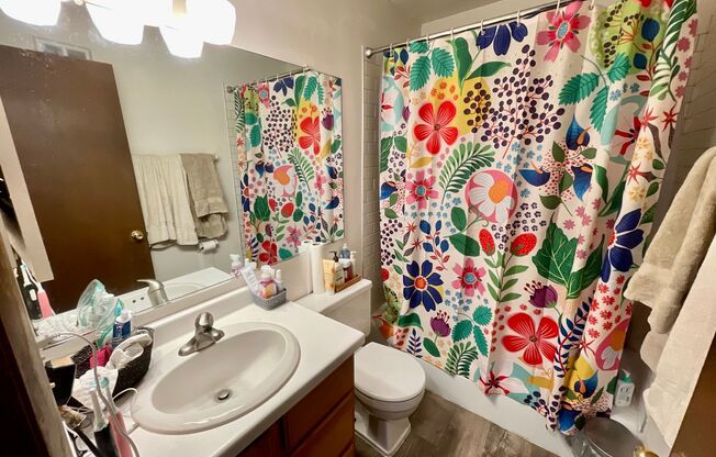 1 bed, 1 bath, $1,095, Unit 210