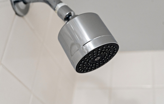 1 bed, 1 bath, 1,125 sqft, $3,000, Unit 205