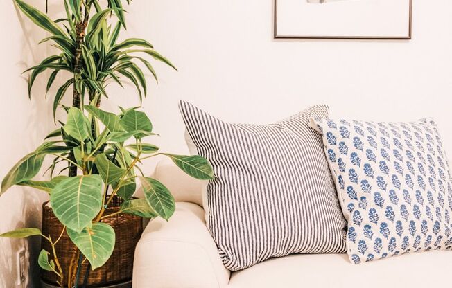 Haven Rio | Boutique Living in Mesa