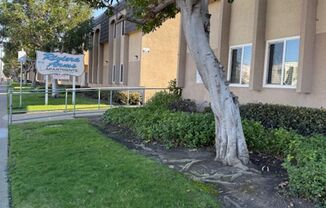 Large 2 bedroom Apartment in Clairemont