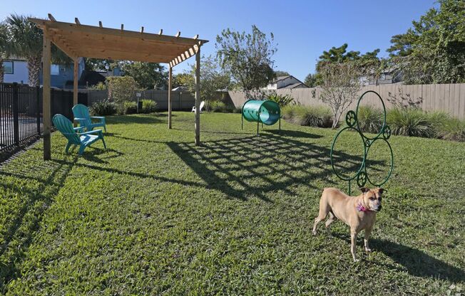 Bark Park