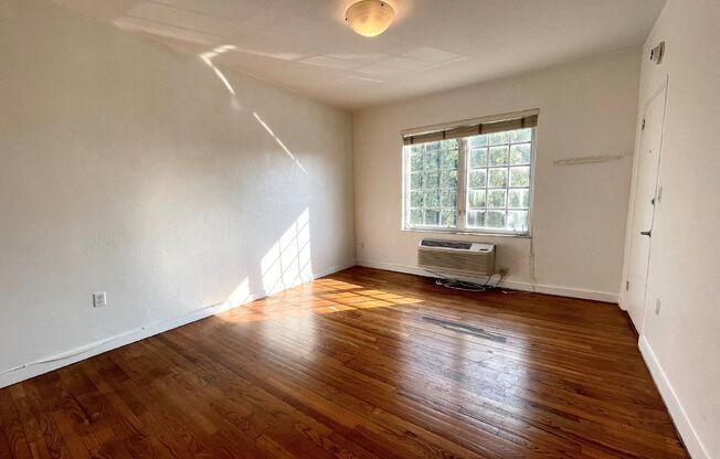 Studio, 1 bath, 446 sqft, $1,750, Unit 12