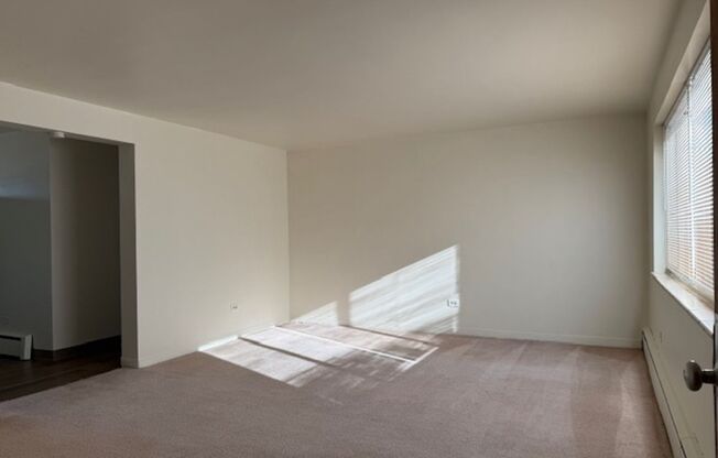 2 beds, 1 bath, 794 sqft, $900, Unit Apt 3C