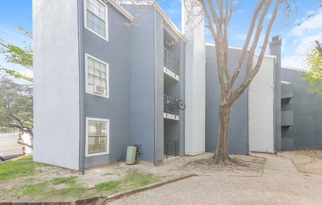 1 bed, 1 bath, $1,150, Unit #119