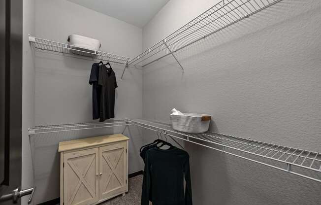 Spacious Walk-In Closet at Ridge at Castle Rock