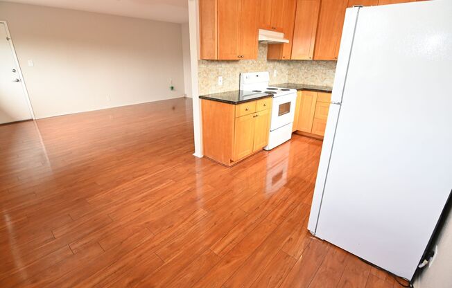 1688 De Rose Way