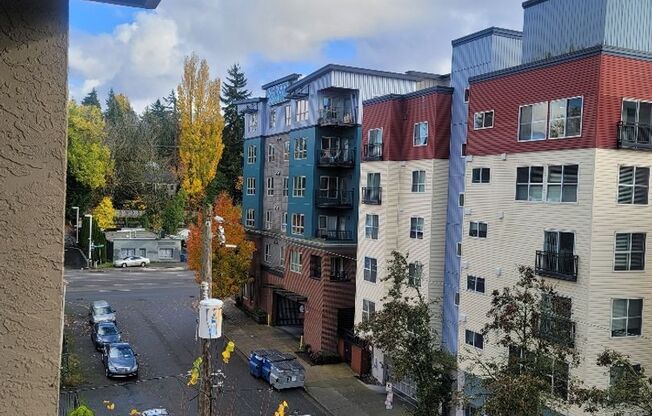 1 bed, 1 bath, $1,450