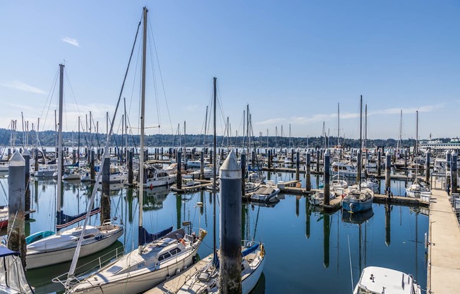 A marina with boats docked at the pier at Spyglass Hill Apartments, Bremerton, 98337
