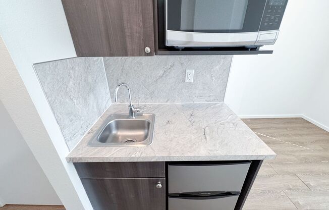 Studio, 1 bath, 186 sqft, $1,295, Unit 307