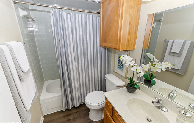 Hilton Head Apartments Bathroom