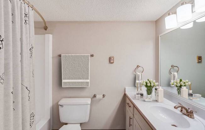 A white toilet sits next to a sink in a bathroom.