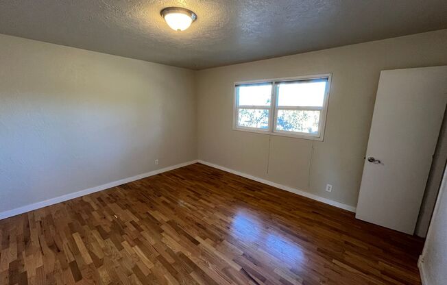 1 bed, 1 bath, $1,495, Unit 919