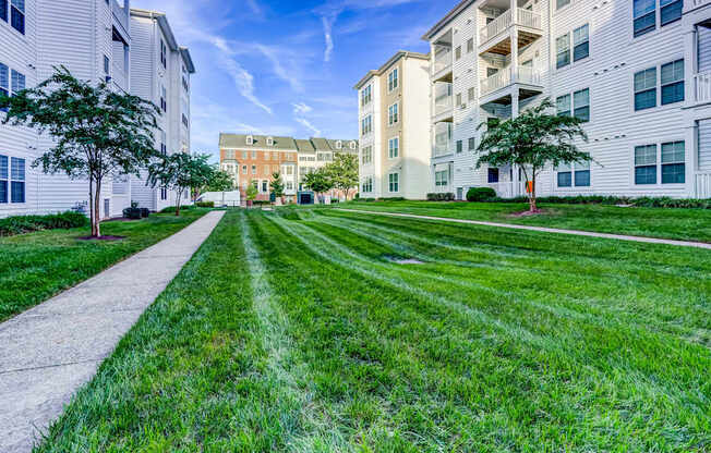 Green Space at MetroPlace at Town Center, Camp Springs, 20746