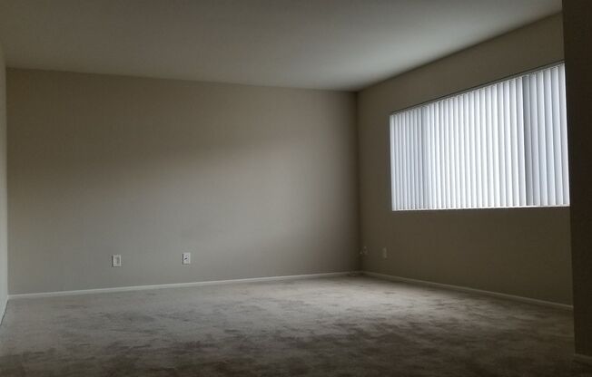 Studio, 1 bath, 475 sqft, $1,745, Unit 213