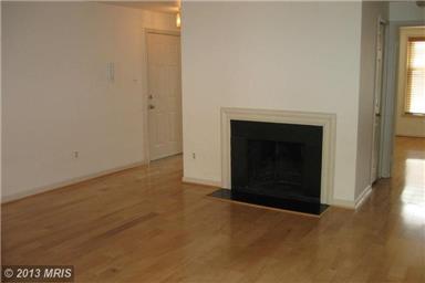 Bright and Cozy Two Bedroom Condo, One Block From Braddock Road Metro