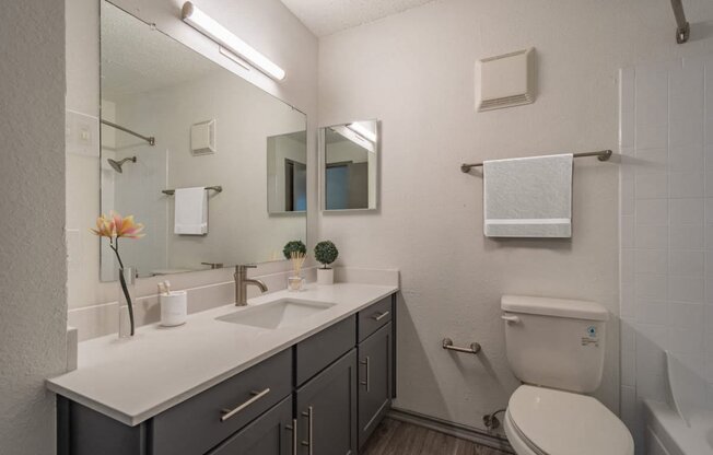 a bathroom with a toilet sink and a mirror