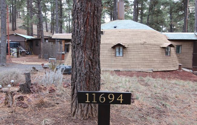 $300 OFF First Month | Unique Dome Studio Surrounded by Ponderosa Pines – Parks, AZ