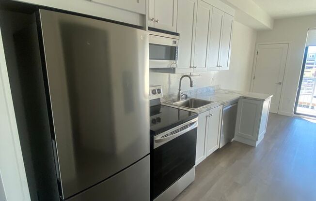Studio, 1 bath, 436 sqft, $2,495, Unit Unit 305
