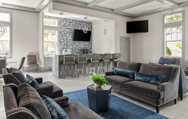 Lounge | Village at Baldwin Park | Orlando FL Apartments